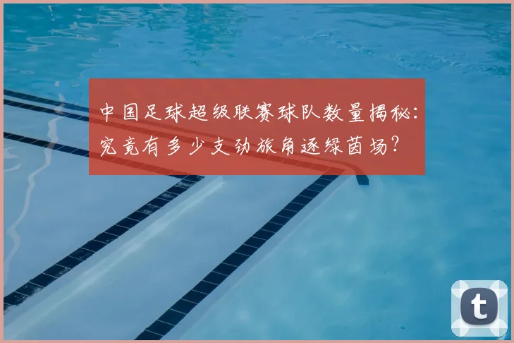 中国足球超级联赛球队数量揭秘：究竟有多少支劲旅角逐绿茵场？