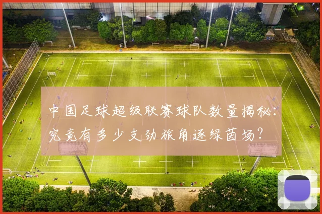 中国足球超级联赛球队数量揭秘：究竟有多少支劲旅角逐绿茵场？