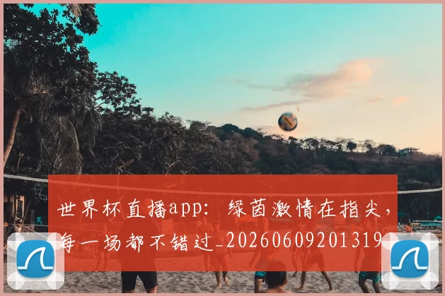 世界杯直播app：绿茵激情在指尖，每一场都不错过_20260609201319